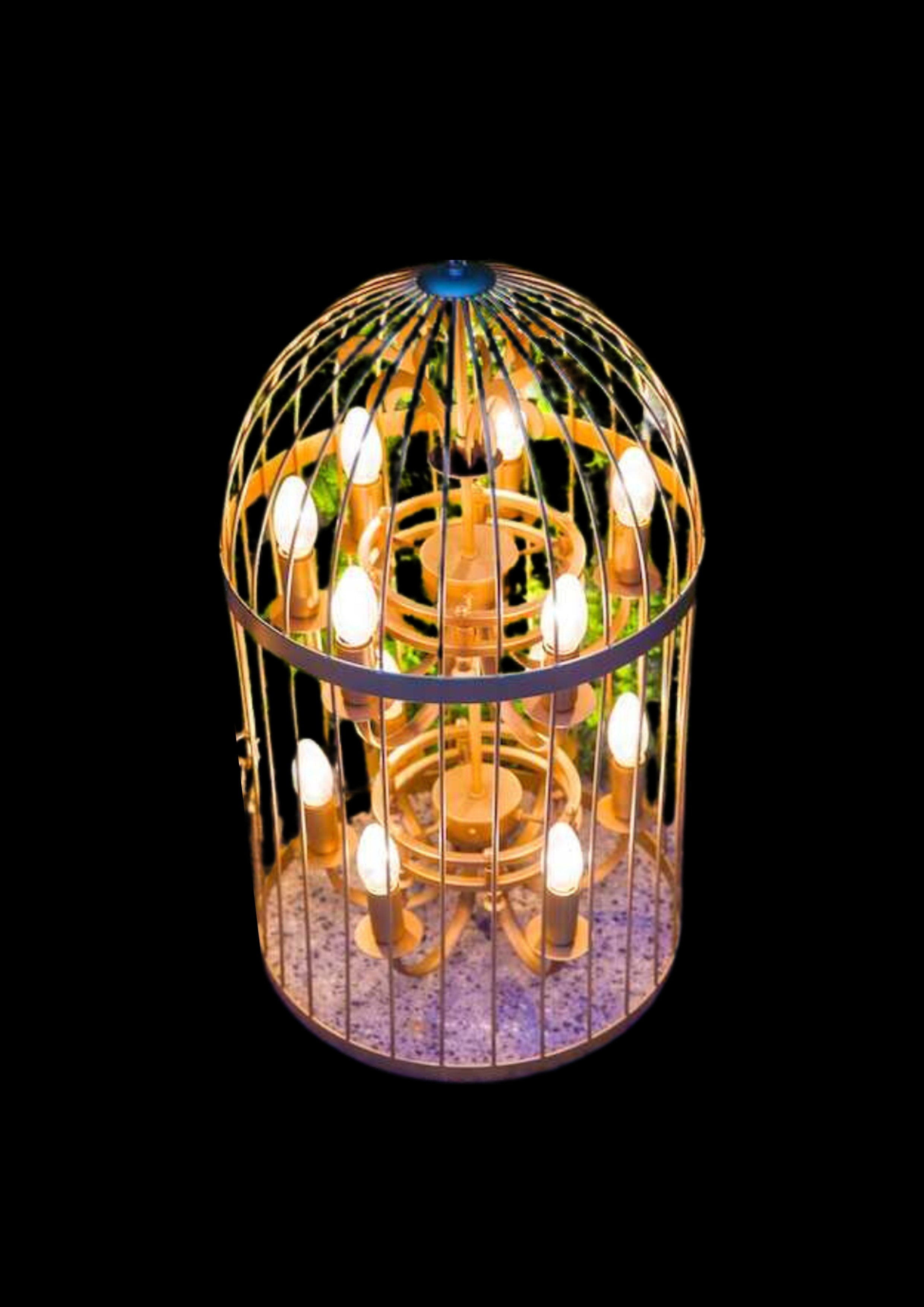 The Bird Cage